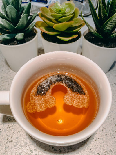 Rainbow Shaped Tea Bags