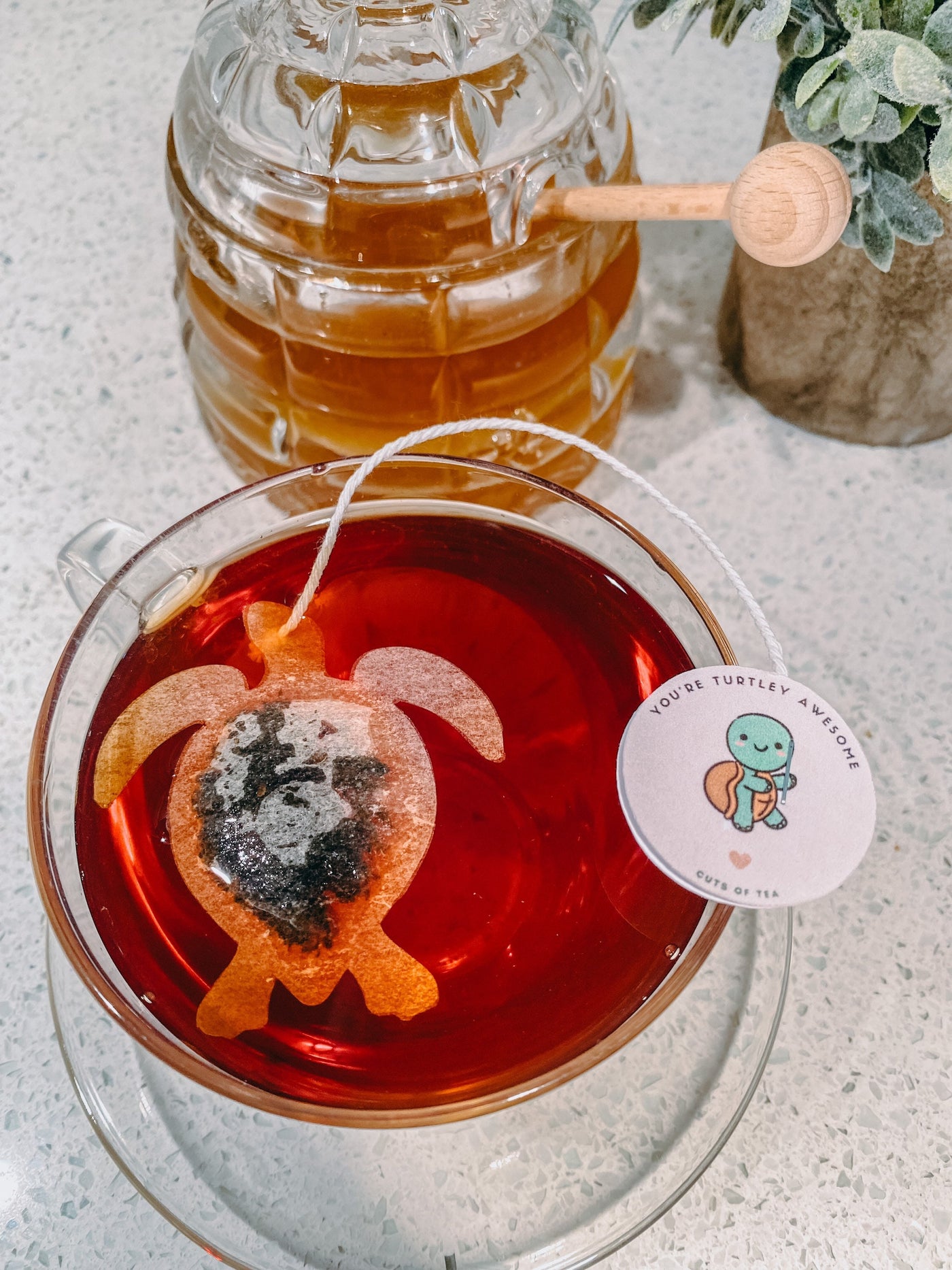 You’re Turtley Awesome | Turtle Tea Bags | Friends Just Because gift