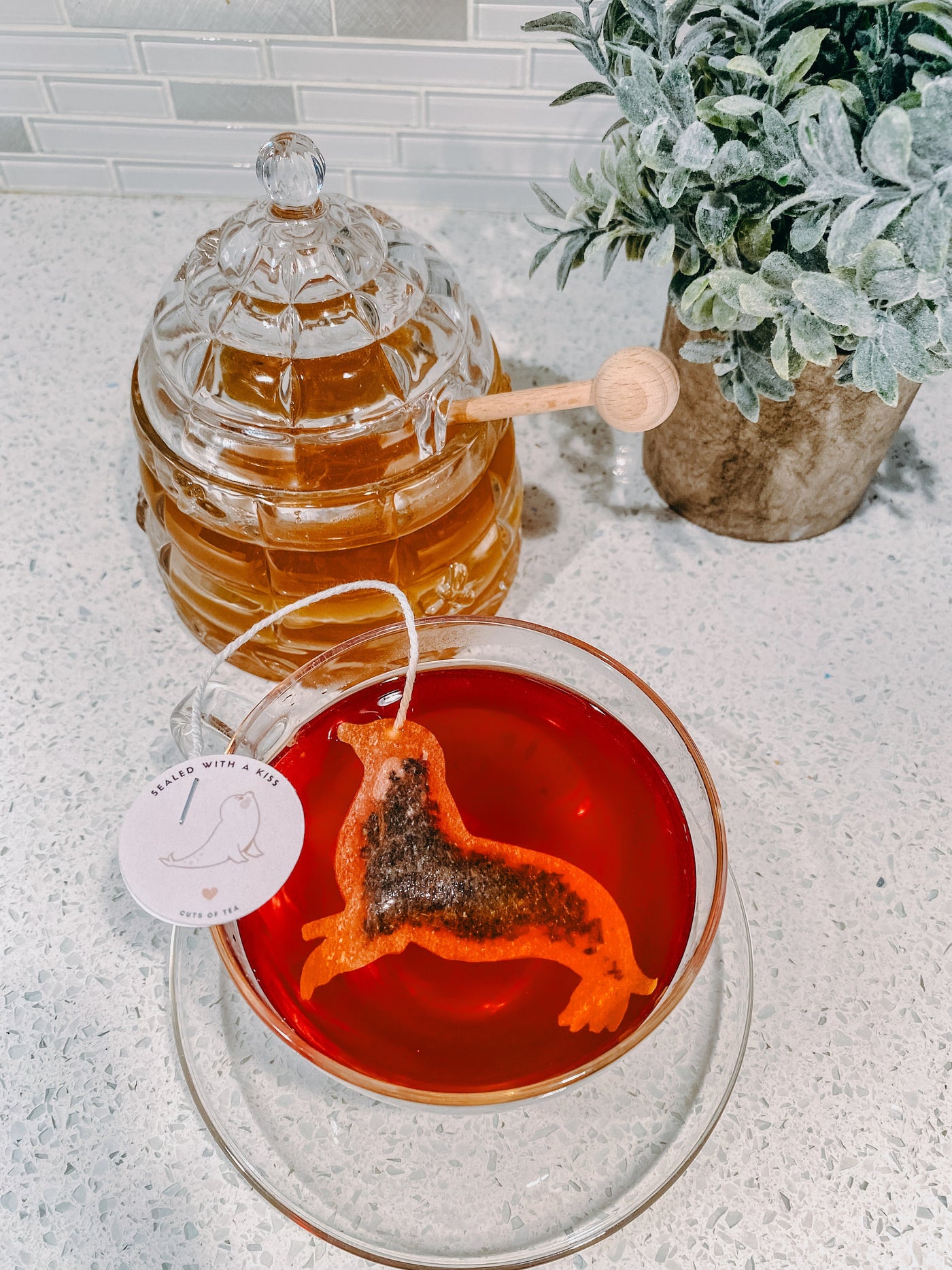 Seal Shaped Tea Bag Sealed with a Kiss